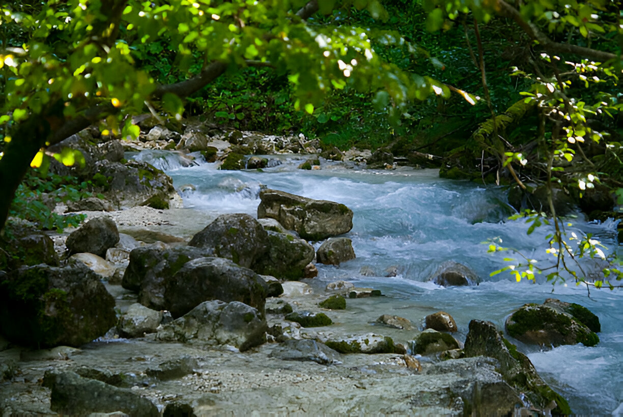 Rivers in the Garden